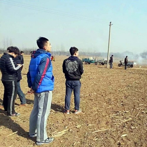 dt 派克特 鱼头 艾福杰尼