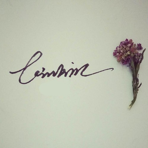 别说天天开心呢