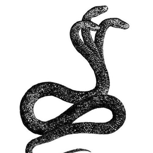 3 HEADED SNAKE (feat. Brezzo & Ley) [Explicit]