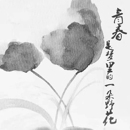 青春是梦里的一朵野花