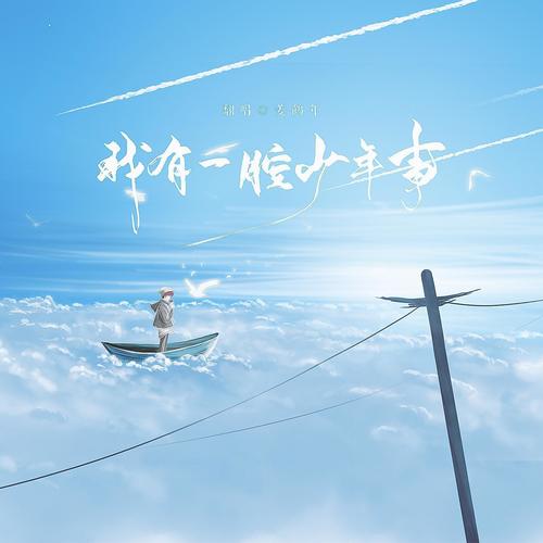 “问宋先生知不知”