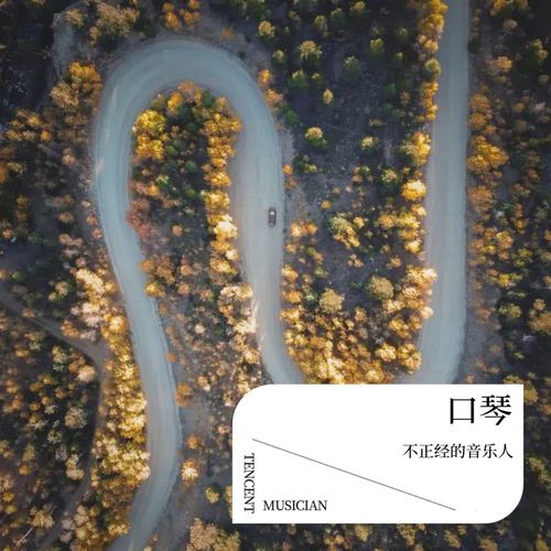 口琴