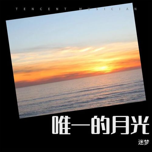 唯一的月光