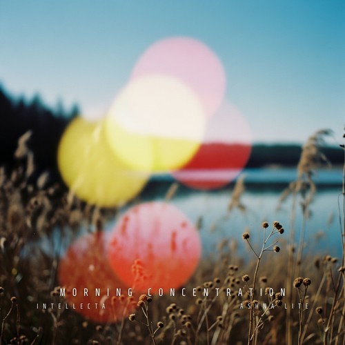 Morning Concentration