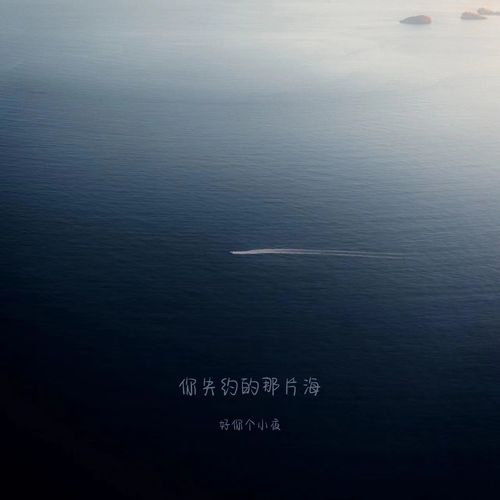 你失约的那片海