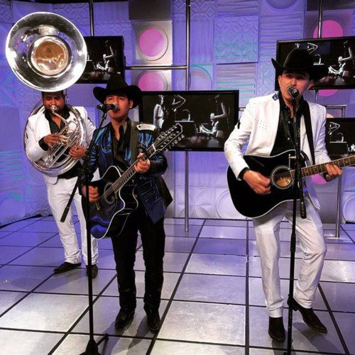 Pedron Antrax (en Vivo 2013)