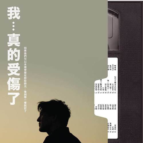 我...真的受伤了