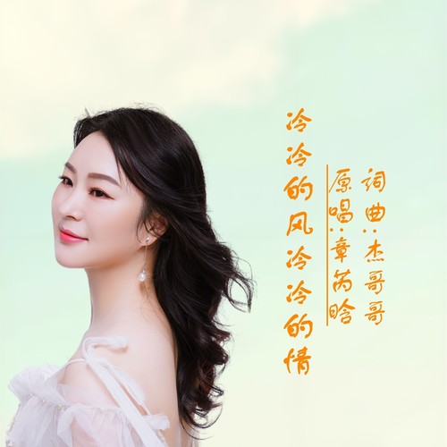 冷冷的风冷冷的情DJ