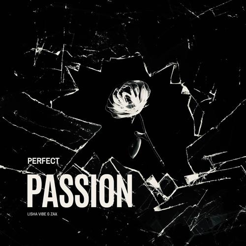 Perfect Passion (feat. ZaX)
