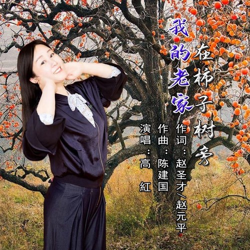 我的老家在柿子树旁