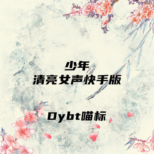 少年（清亮女声快手版）