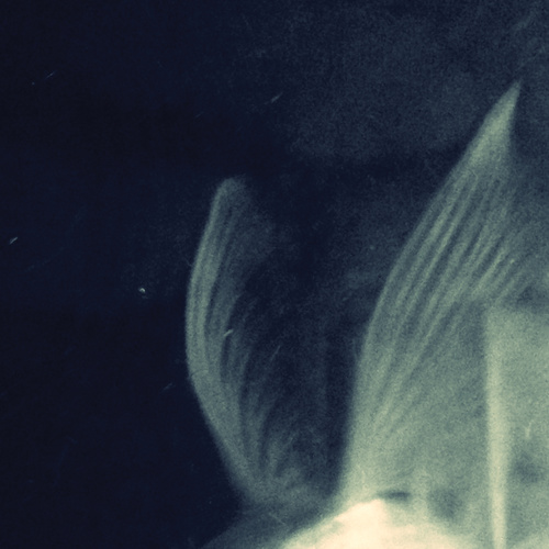 '비둘기에게' 이장혁 EP Vol. 1 (“致鸽子”李长阁 EP Vo1.1)