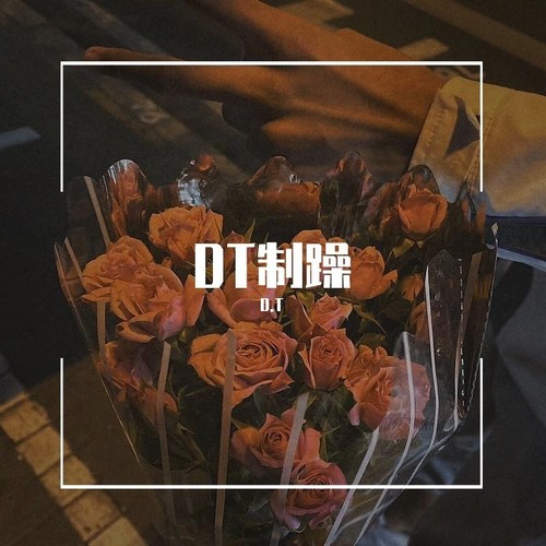DT制躁