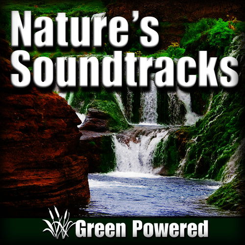 Nature's Soundtracks