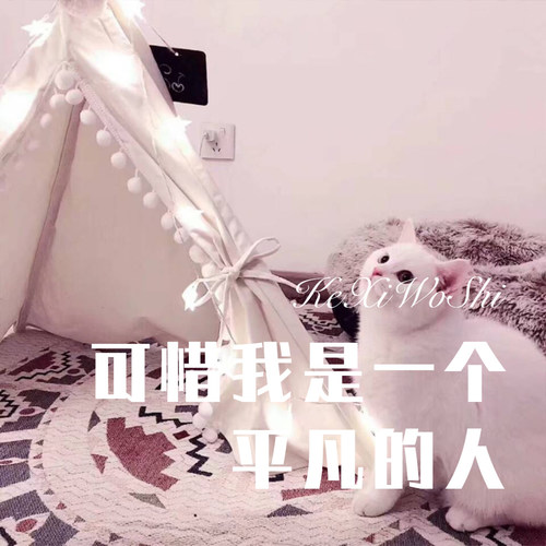 可惜我是一个平凡的人