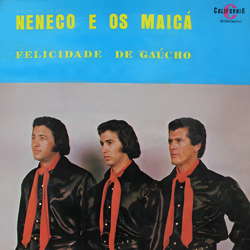 Felicidade de um Gaúcho