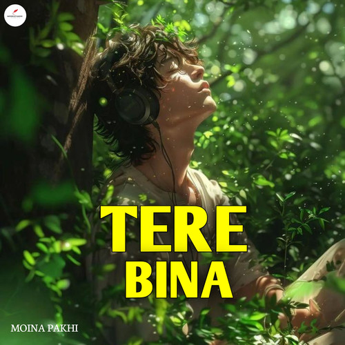 Tere Bina