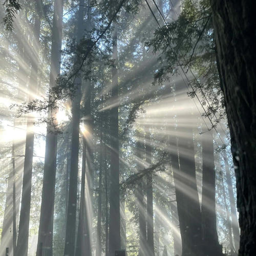 Hey, It's Christmas! (Again)