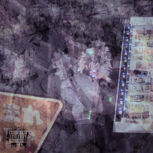 SAKURA DREAMS (Explicit)