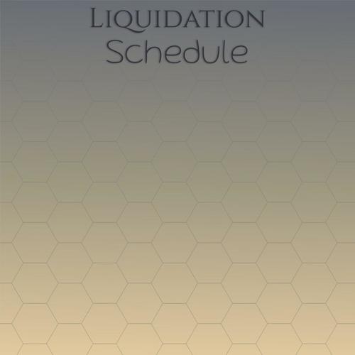 Liquidation Schedule