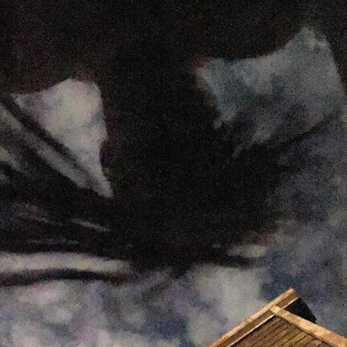 Vengeance (Explicit)