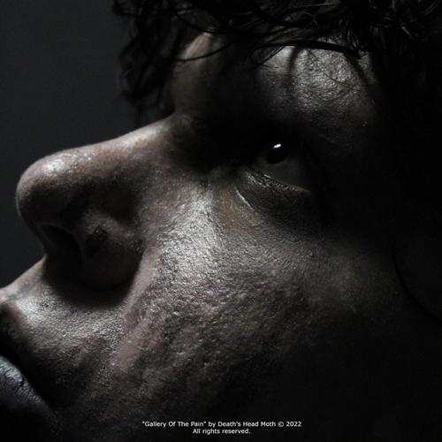 Gallery Of The Pain (Explicit)