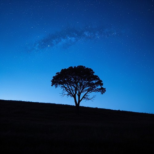 The Night Is Watching