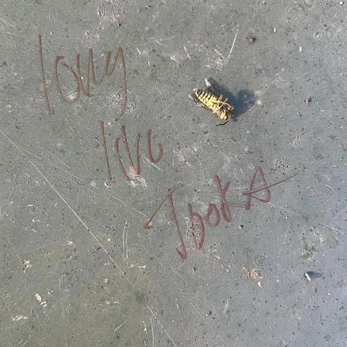 This How I Feel (Explicit)