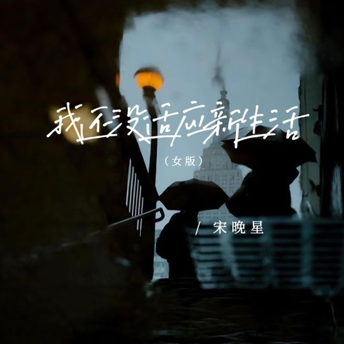 我还没适应新生活（女版）