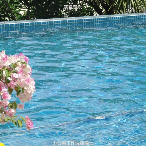 办公室工作选择爵士