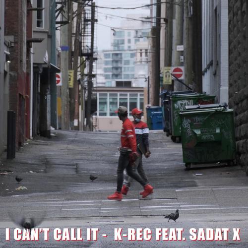 I Can't Call It (feat. Sadat X) [Explicit]