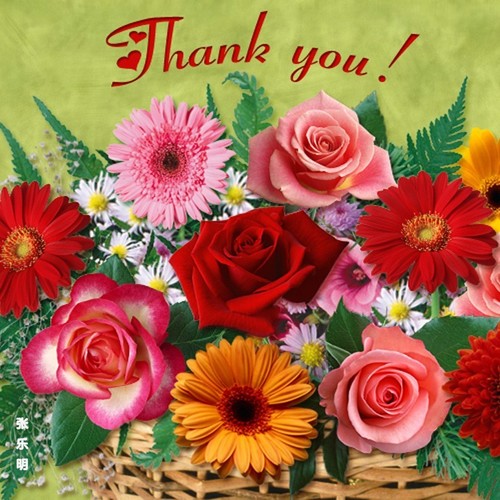 谢谢您