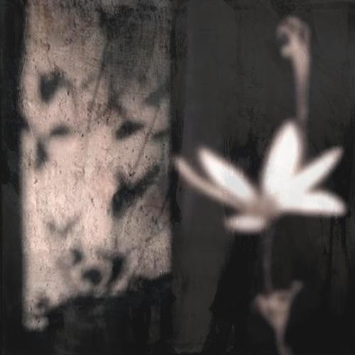 Gravestone (feat. DaysToWaste)