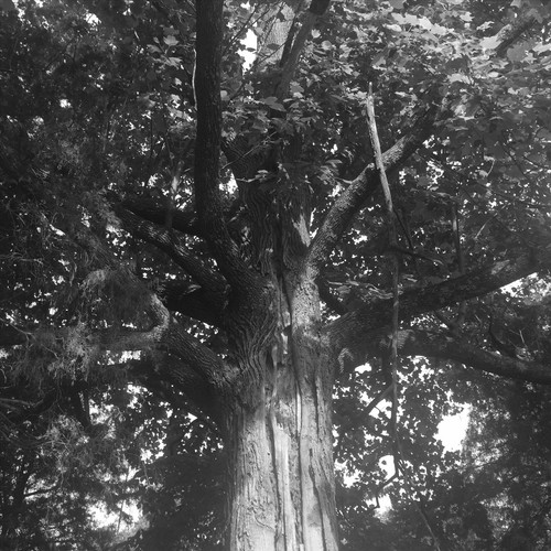 Trapped in the Song Place