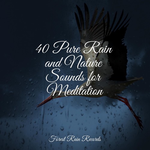40 Pure Rain and Nature Sounds for Meditation