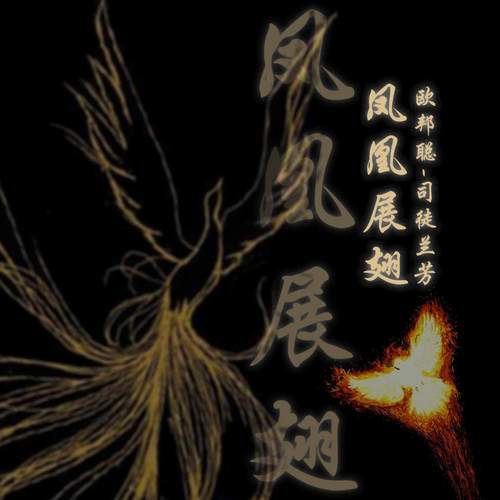 凤凰展翅 (DJ版)