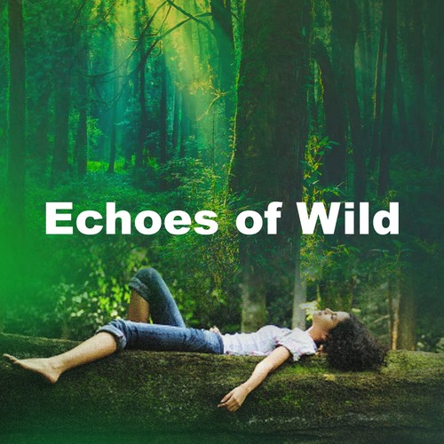 Echoes of Wild