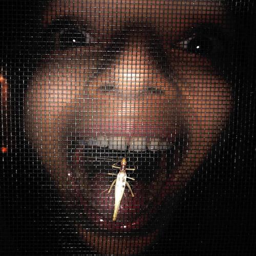 Weirdo Stereo Trapper Rapper! (Explicit)