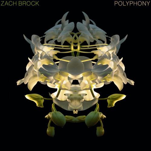 Polyphony