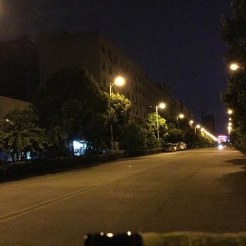 执著地追求