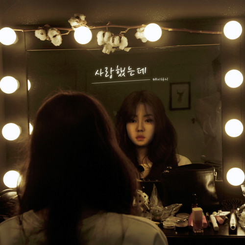 사랑했는데.. (虽然爱你..)