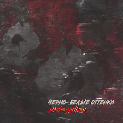 Ð§ÐµÑÐ½Ð¾-Ð±ÐµÐ»ÑÐµ Ð¾ÑÑÐµÐ½ÐºÐ¸