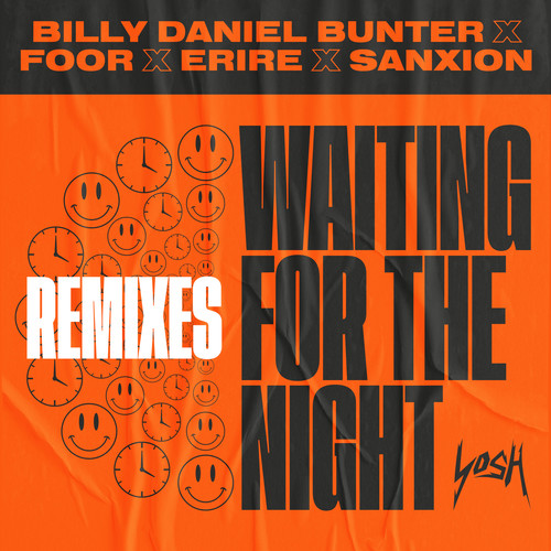 Waiting For The Night (Remixes)