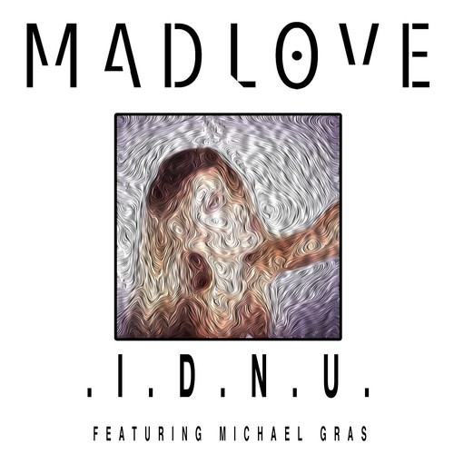 I.D.N.U. (I Don't Need U) [feat. Michael Gras]