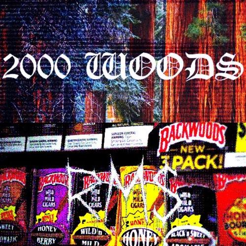 2000 Woods (feat. RM$Sosanami) [Explicit]