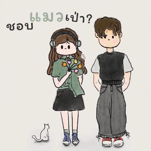 ชอบแมวเป่า