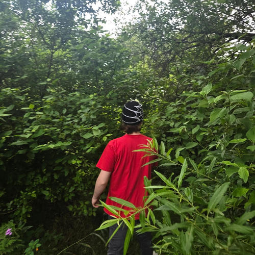 Different Seasons (Explicit)