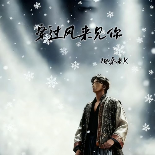 穿过风来爱你（热搜版）