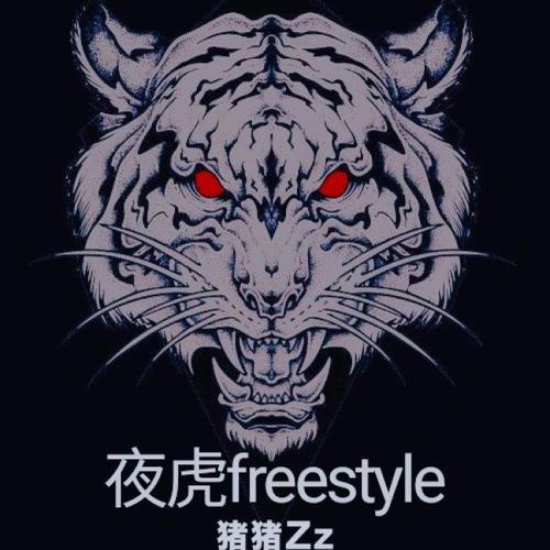 夜虎freestyle
