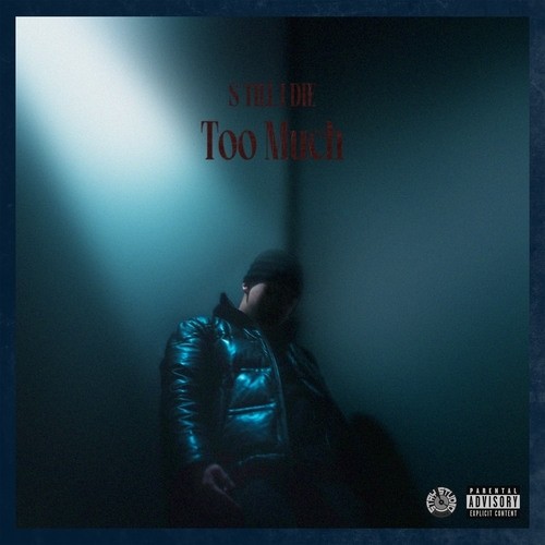 Too Much (Explicit)